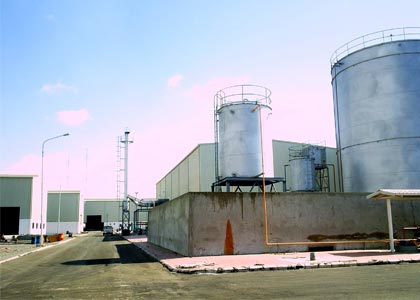 Aden, Arab Iron & Steel Corporation, Griffin Energy